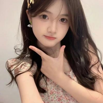 最后的嬉皮海报