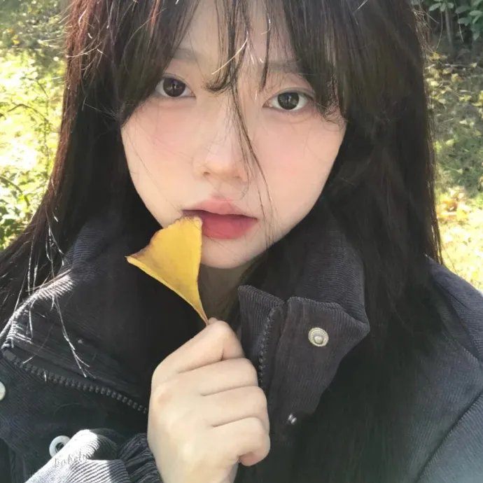 卡米拉海报