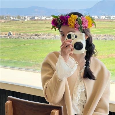 灰鸽子之歌海报